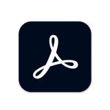 Acrobat Pro DC 2025.001.20997便携版