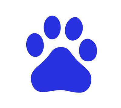 AC-baidu-重定向优化百度搜狗谷歌必应搜索