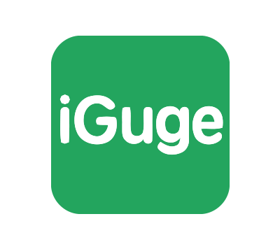 iGG谷歌访问助手